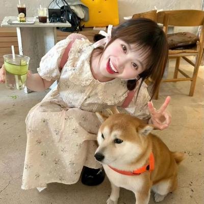 这里发现爱