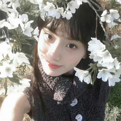 歪果仁研究协会